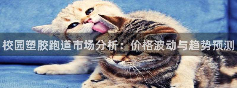 谈球吧体育app下载中心官方最新版