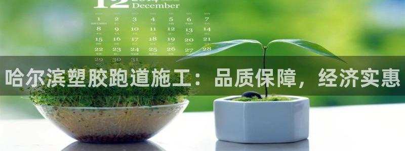 谈球吧app在哪里下载：哈尔滨塑胶跑道施工：品质保障