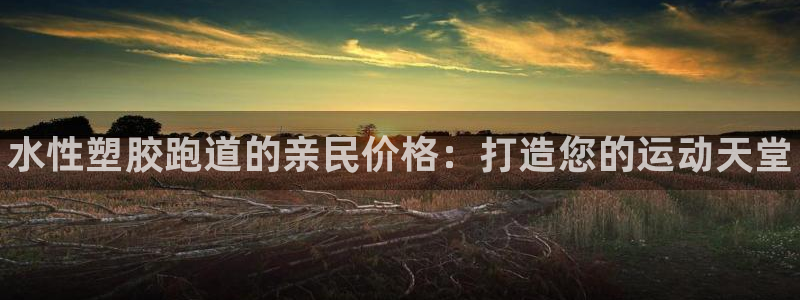 谈球吧官网app下载：水性塑胶跑道的亲民价格：打造您