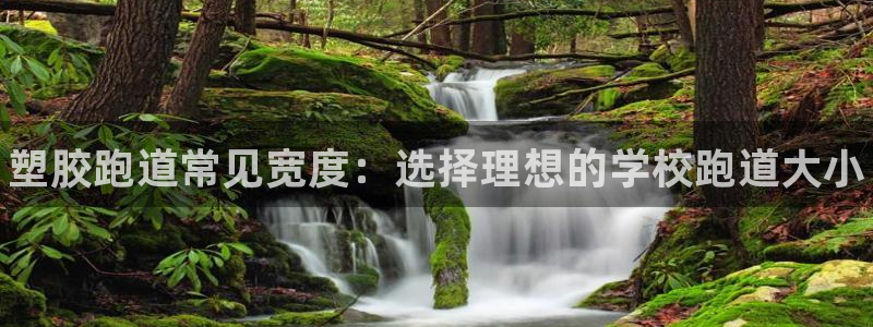 谈球吧言网入口:塑胶跑道常见宽度:选择理想的学校跑道大小