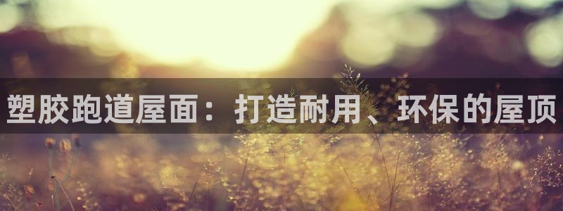 谈球吧网址：塑胶跑道屋面：打造耐用、环保的屋顶