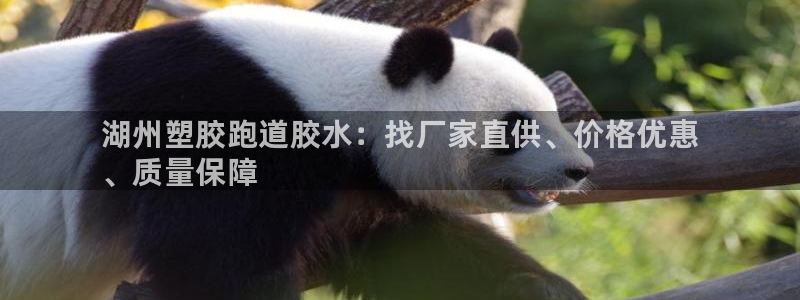 谈球吧的聊天软件下载：湖州塑胶跑道胶水：找厂家直供、价格优惠
、质量保障